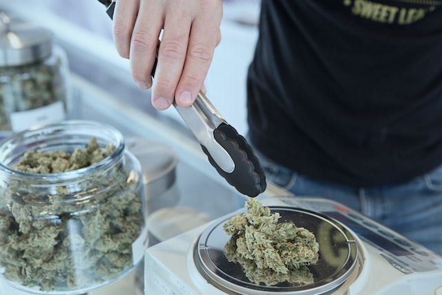 Legalisation of cannabis